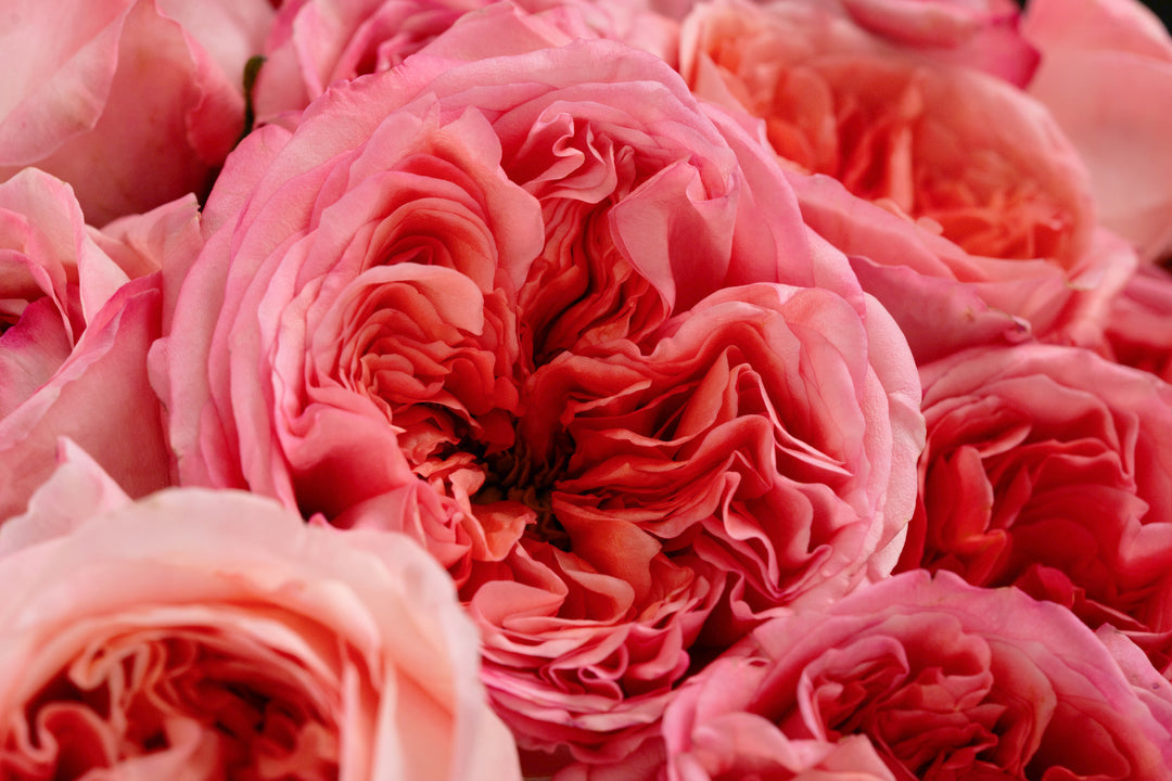 London Eye Bouquets